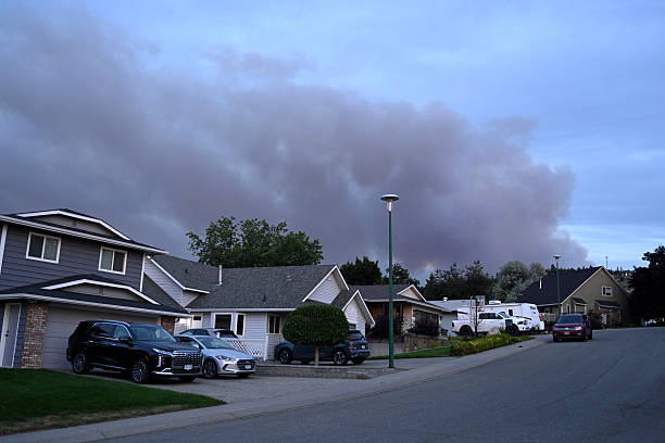 Returning home after a wildfire evacuation