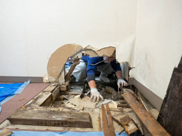 mold under hardwood floors