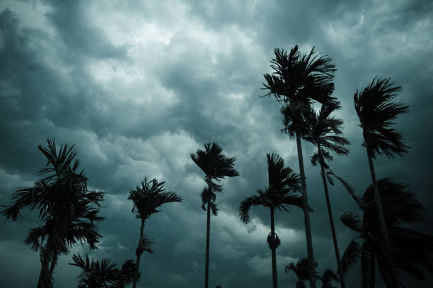 Hurricane Safety Tips Santa Rosa Beach Homeowners Must Know Now
