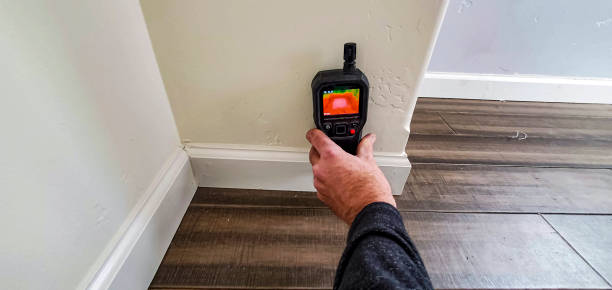 moisture meter for detecting mold under hardwood floors