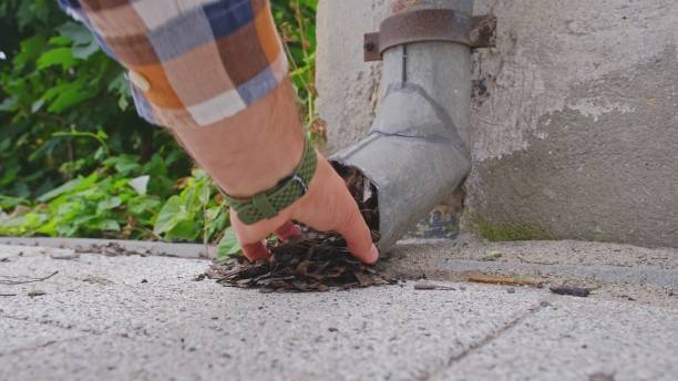 pre-hurricane drain cleaning