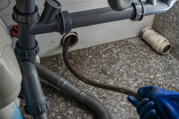 local sewage cleanup experts