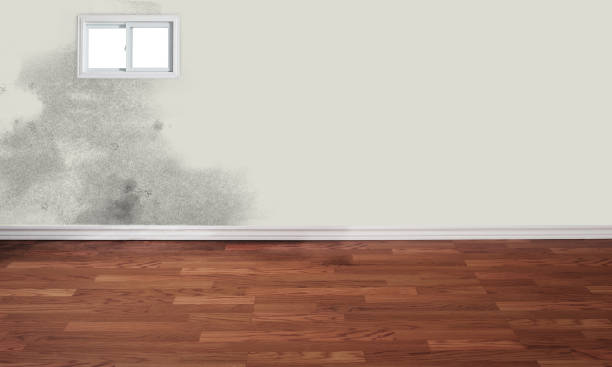 hardwood floor mold in fall 