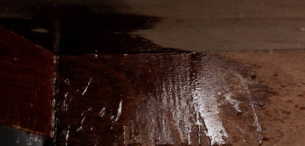 is mold under flooring dangerous