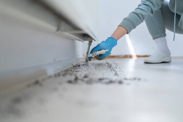 Mold under flooring in closed winter rentals