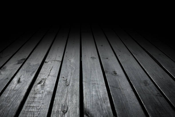 Is Mold Under Hardwood Floors Dangerous in Crawl Spaces? The Hidden Threat Beneath 60% of Santa Rosa Beach Homes