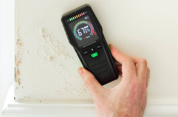 How to Detect Mold Under Hardwood Floors