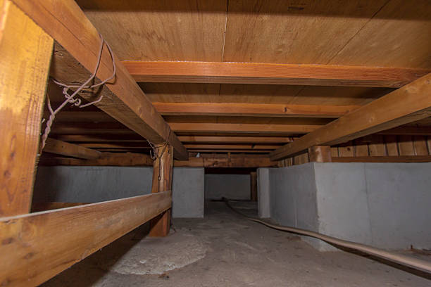 Is Mold Under Hardwood Floors Dangerous in Crawl Spaces
