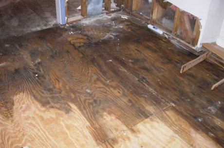 Hardwood Floor After Water Damage