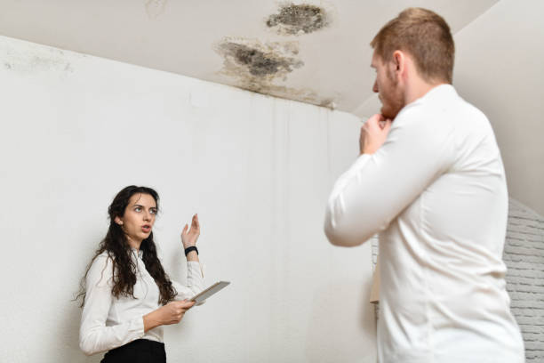 How Much Does Mold Devalue a Home in Santa Rosa Beach