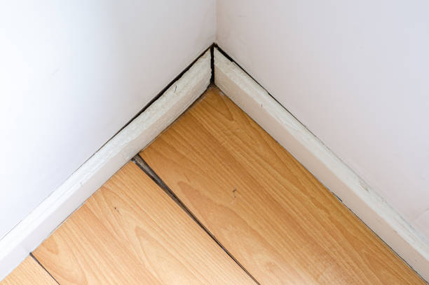 Mold Under Hardwood Floors