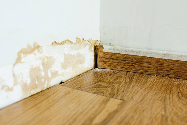 mold under your hardwood floors