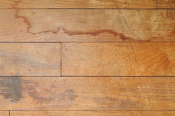 What Does Mold on Hardwood Floors Look Like?