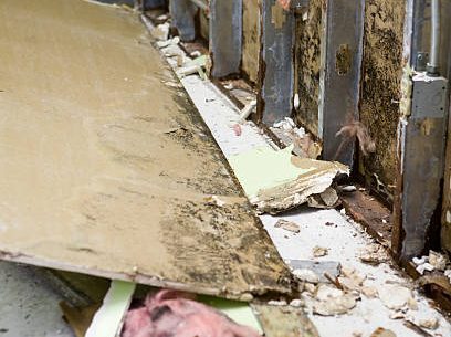 Signs of Mold Under Hardwood Floors