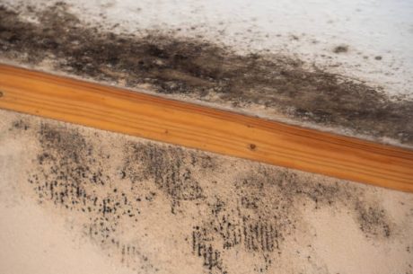 Signs of Mold Under Hardwood Floors: 6 Critical Indicators for Inspect vs. Demolish Decisions