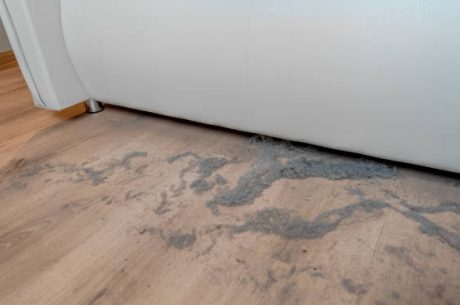 s Mold Under Flooring Dangerous After Water Damage? The Critical 72-Hour Timeline That Could Save Your Santa Rosa Beach Home $40K