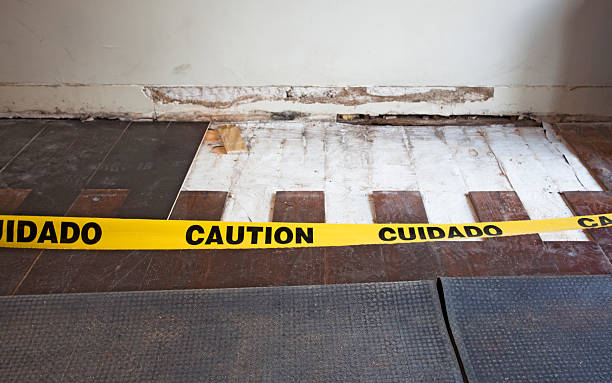 Mold Under Flooring in Rental Properties: The Landlord Liability Timeline Costing $250K+ in Lawsuits