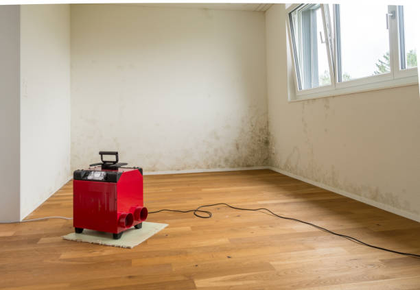 preventing mold under hardwood floors in humid climates