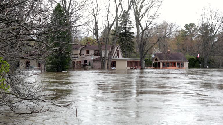 flood damage repair in santa rosa