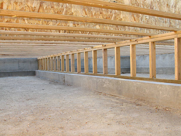 Is Mold on Plywood Dangerous in Crawl Spaces