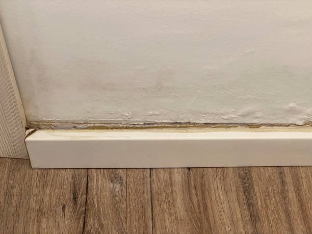 top signs of mold under hardwood floors