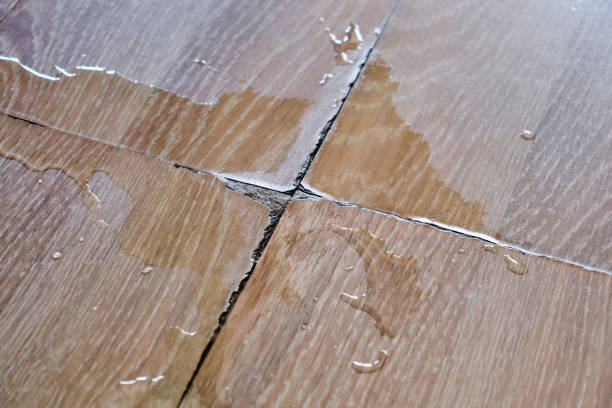 what causes moisture under hardwood floors