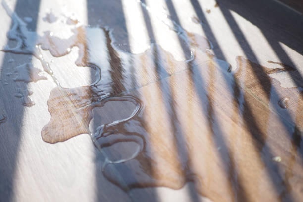 is mold under flooring dangerous