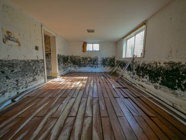 Is Mold Under Flooring Dangerous? The Sandy Truth About 30A Vacation Rentals