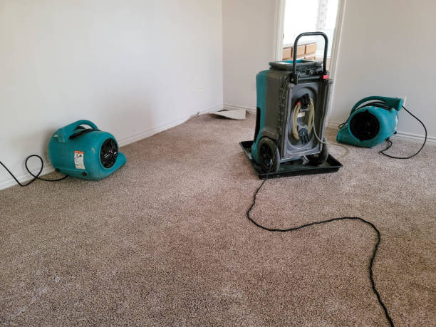 Why Professional Structural Drying Services in Santa Rosa Beach FL Are Crucial After Water Damage