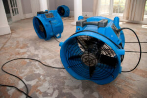 Water Damage Mitigation
