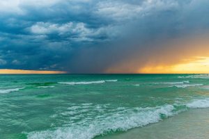 Mold Under Hardwood Floors After Hurricanes: The Crucial 48-Hour Action Plan to Protect Your Home