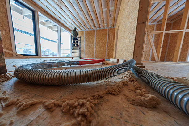 White Mold on Subfloor: 6 Shocking Reasons It's More Dangerous Than Black Mold in Santa Rosa Beach Crawl Spaces