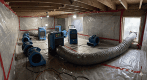 Hidden Moisture Hazards: Why Professional Crawl Space Drying in Santa Rosa Beach is Critical After a Leak