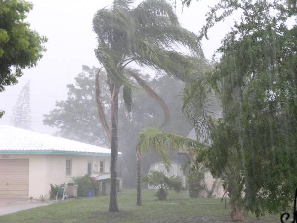 Is Mold Under Flooring Dangerous Before a Hurricane Hits? 5 Proven Prep Steps