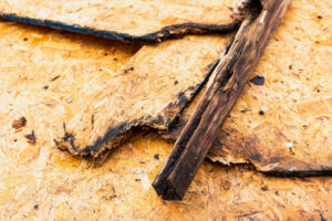 Plywood vs. OSB Mold Resistance