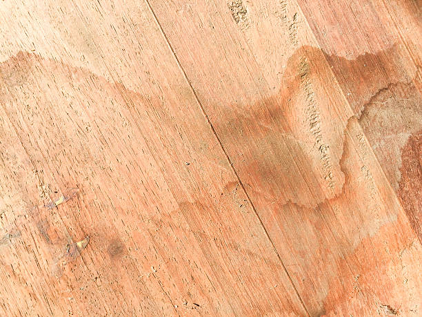 Mold From Subfloor