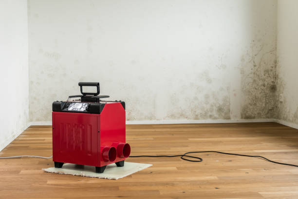 Ozone Machine Hurt Your Mold Insurance Claim