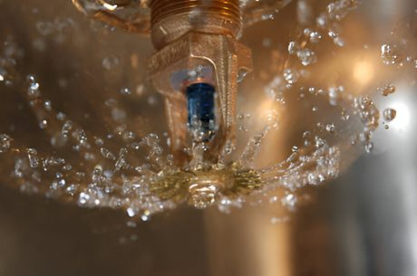water damage in sarasota business
