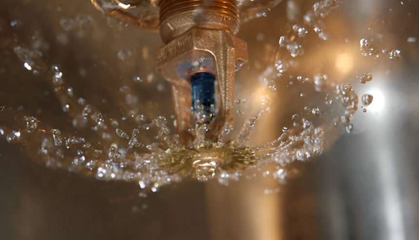 water damage in sarasota business