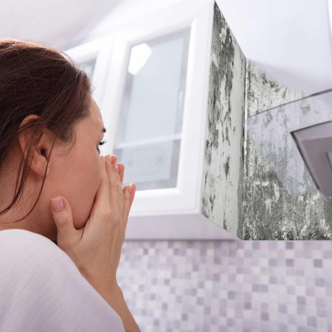 Is It Okay To Stay In A House With Mold?