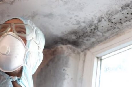 Technician examining a moisture-damaged corner where mold commonly forms
