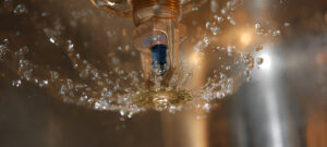 water damage in sarasota business