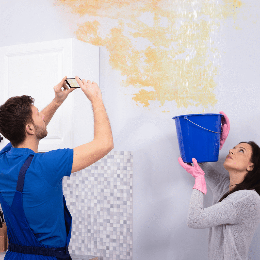Water Mitigation Company