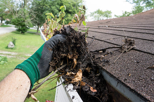 cleaning Gutters