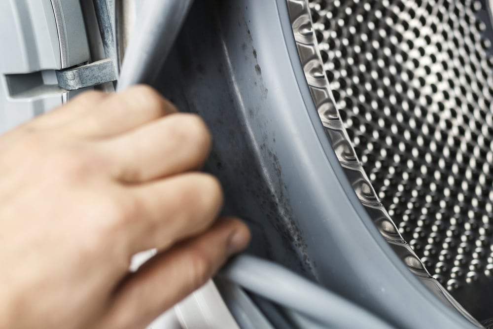 checking a washing machine liner