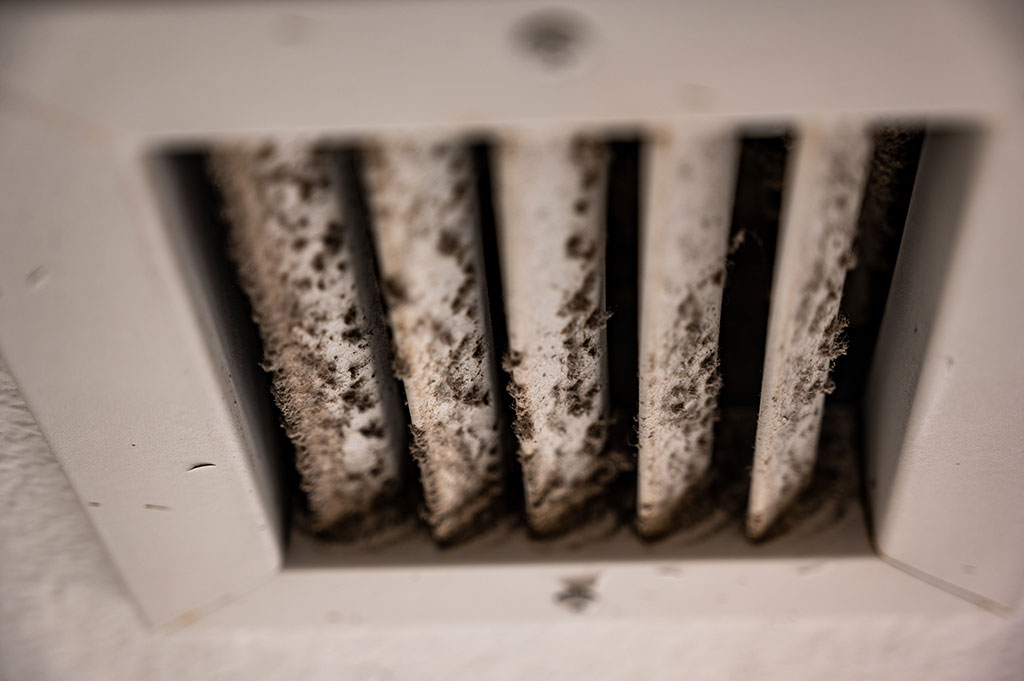 mold growing on vent