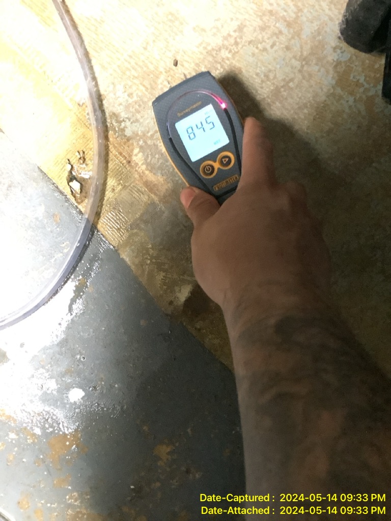 water damage in your home | Inactive mold