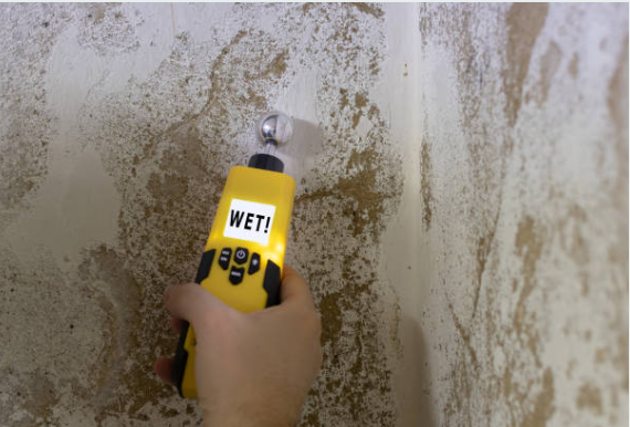 Professional water damage restoration in Abington moisture detection process