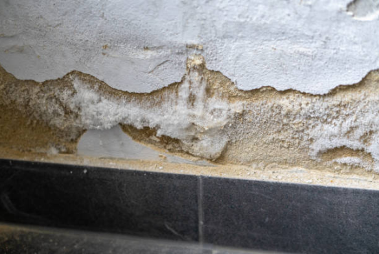 Water damage restoration in Abington wall damage progression and repair needs