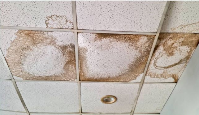 Ceiling water damage requiring water damage restoration in Kulpsville